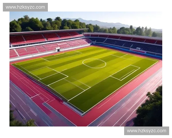 足球比赛场地设计与布局的优化研究及其对比赛效果的影响分析